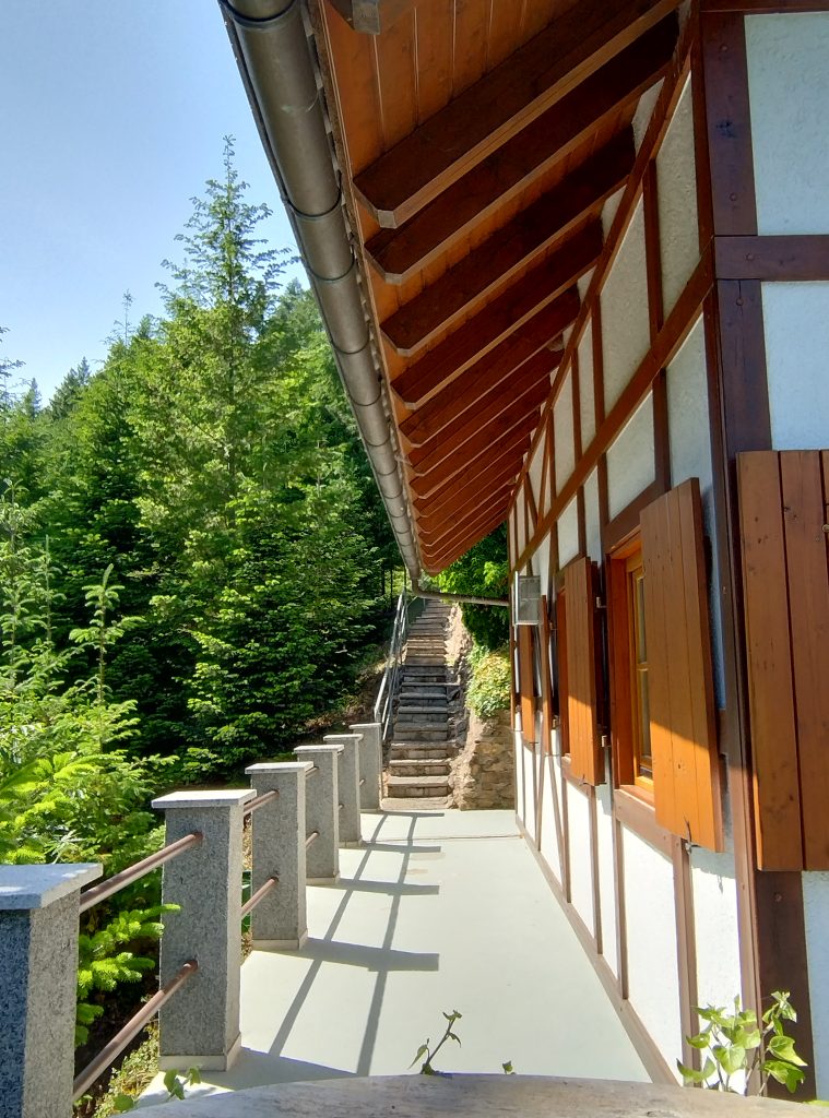 img 20250531 160445668 hdr 1