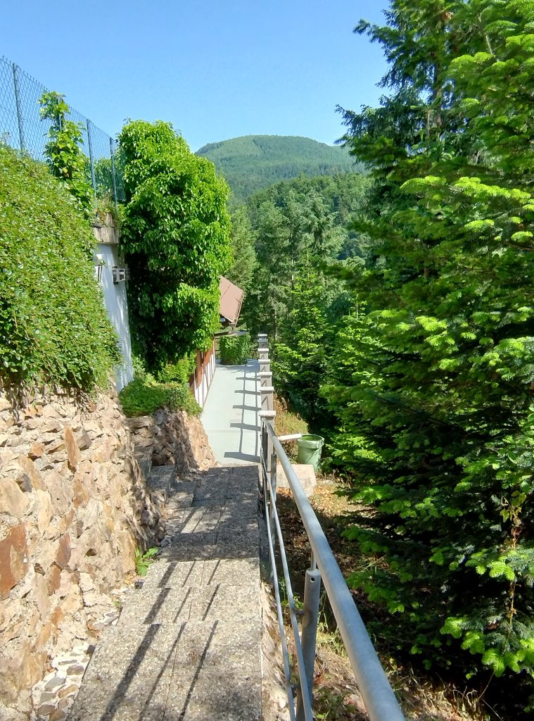 img 20250531 160624557 hdr