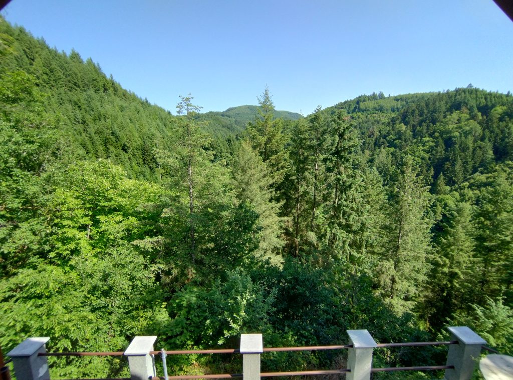 img-20250531-160934493-hdr